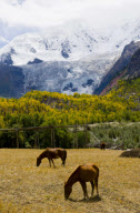 CHINA-NYINGCHI-BOMI-GLACIER (CN)