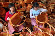 #CHINA-JIANGSU-GANYU-SALIX INTEGRA PRODUCTS (CN)