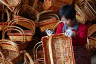 #CHINA-JIANGSU-GANYU-SALIX INTEGRA PRODUCTS (CN)