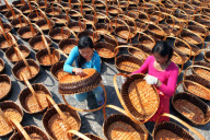 #CHINA-JIANGSU-GANYU-SALIX INTEGRA PRODUCTS (CN)
