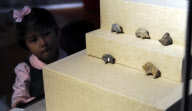 CHINA-HARBIN-POTTERY PIGS-NEOLITHIC AGE (CN)