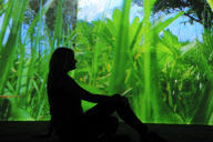 Pipilotti Rist: Eyeball Massage, Hayward Gallery, London, Britain - 27 Sep 2011