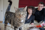 Marty the pampered cat, Powys, Wales - 25 Sep 2011
