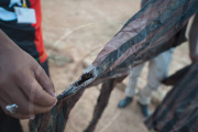 LIBYA-TRIPOLI-PRISON-MASS GRAVE
