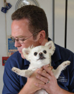 Animal osteopath Tony Nevin, Gloucestershire, Britain - 15 Sep 2011