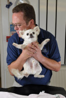 Animal osteopath Tony Nevin, Gloucestershire, Britain - 15 Sep 2011