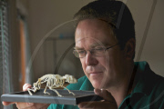Animal osteopath Tony Nevin, Gloucestershire, Britain - 15 Sep 2011