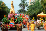 CHINA-YUNNAN-RUILI-PARADE (CN)