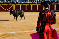 Bullfighting 'Corrida De Toros' in Spain