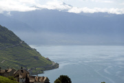 les vignobles du leman a grandvaux
