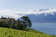 les vignobles du leman a grandvaux