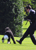 Bo the Obama family dog playing at the White House, Washington, D.C., America - 06 Oct 2011