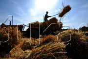 CHINA-INNER MONGOLIA-HARVEST (CN)