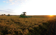 CHINA-HEILONGJIANG-HARVEST (CN)