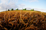 CHINA-HEILONGJIANG-HARVEST (CN)