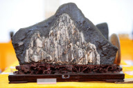 #CHINA-GUIZHOU-RARE STONE EXHIBITION (CN)