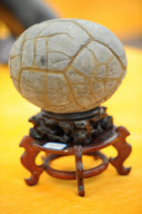 #CHINA-GUIZHOU-RARE STONE EXHIBITION (CN)