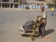Piece of famous Saddam Hussein Statue up for auction, Derby, Britain - Oct 2011