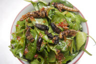 Archipelago restaurant, where insects are used as ingredients, London, Britain - 01 Sep 2011