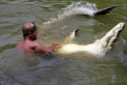 COSTA RICA-SIQUIRRES-CROCODILE-SERIES