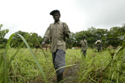 LES ENFANTS SOLDATS DU LRA, LE MOUVEMENT REBELLE ET CRUEL DE JOSEPH KONY EN OUGANDA, DANS LEUR CAMPEMENT A LA FRONTIERE SOUDANO CONGOLAISE