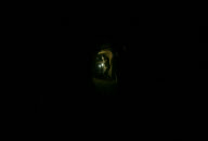 Smuggling tunnels in Gaza