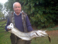 Ein gieriger Hecht erstickt an seiner großen Beute in Suffolk