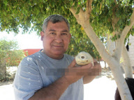 'Cyclops' Bull shark fetus with one eye, Cabo San Lucas, Baja California Sur, Mexico - Oct 2011