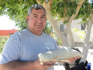 'Cyclops' Bull shark fetus with one eye, Cabo San Lucas, Baja California Sur, Mexico - Oct 2011