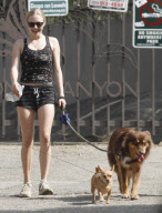 Amanda Seyfried in Hollywood