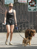 Amanda Seyfried in Hollywood