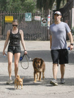 Amanda Seyfried in Hollywood