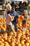 *EXCLUSIVE* Courtney Stodden and Doug Hutchinson : Too Hot For Halloween?!?