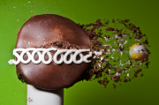 High speed photography by Alan Sailer, California, America - Sep 2011