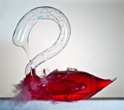 High speed photography by Alan Sailer, California, America - Sep 2011