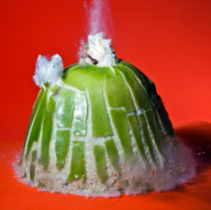 High speed photography by Alan Sailer, California, America - Sep 2011