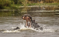 12-year-old becomes youngest Royal Photographic Society member to gain a distinction, Britain - 25 Oct 2011