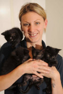 RSPCA Gonsal Farm animal centre holds 'Black Cat Awareness Month', Dorrington, Shrewsbury, Shropshire, Britain - 20 Oct 2011