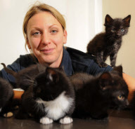 RSPCA Gonsal Farm animal centre holds 'Black Cat Awareness Month', Dorrington, Shrewsbury, Shropshire, Britain - 20 Oct 2011