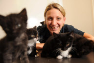 RSPCA Gonsal Farm animal centre holds 'Black Cat Awareness Month', Dorrington, Shrewsbury, Shropshire, Britain - 20 Oct 2011