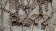 Skeletal remains of a Roman-era couple reveal the pair has been holding hands for 1500 years, Italy  - 02 Nov 2011