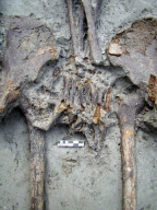 Skeletal remains of a Roman-era couple reveal the pair has been holding hands for 1500 years, Italy  - 02 Nov 2011