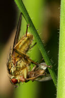 Tierfotograf Paul Budd
