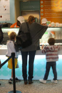 *EXCLUSIVE* Sharon Stone takes her boys for Pinkberry