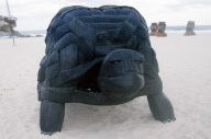 15. Sculpture by the Sea in Sydney