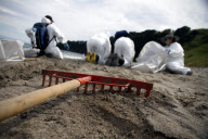 Nach der Havarie der Rena: Helfer säubern den ölverschmutzten Strand von Tauranga