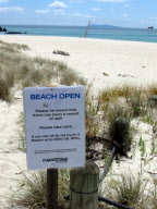 Nach der Havarie der Rena: Helfer säubern den ölverschmutzten Strand von Tauranga
