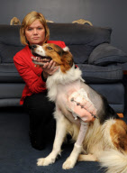 Tierquälerei: Jugendliche zünden Feuerwerk neben Hund in South Lanarkshire