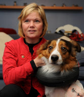 Tierquälerei: Jugendliche zünden Feuerwerk neben Hund in South Lanarkshire