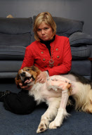 Tierquälerei: Jugendliche zünden Feuerwerk neben Hund in South Lanarkshire